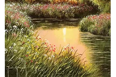 Signature image, click to enlarge