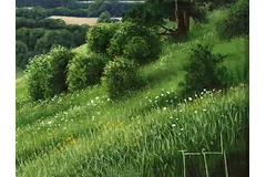 Signature image, click to enlarge