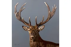 No frame image, click to enlarge