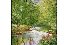 No frame image, click to enlarge