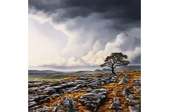 No frame image, click to enlarge