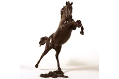 Signature image, click to enlarge