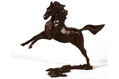 No frame image, click to enlarge