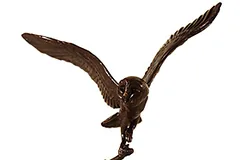 Large image, click to enlarge
