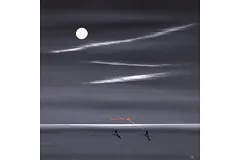 No frame image, click to enlarge