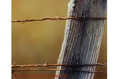 Signature image, click to enlarge