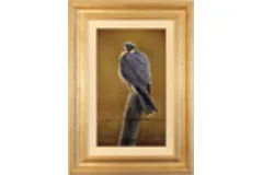 Large image, click to enlarge