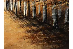 Signature image, click to enlarge