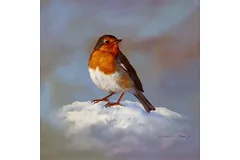 No frame image, click to enlarge