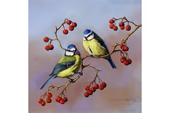 No frame image, click to enlarge