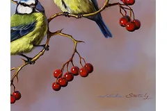 Signature image, click to enlarge