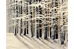 Signature image, click to enlarge