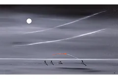 No frame image, click to enlarge