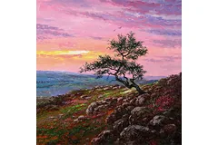 No frame image, click to enlarge
