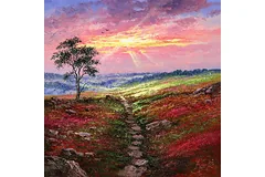 No frame image, click to enlarge
