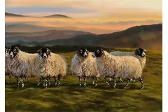 Signature image, click to enlarge