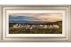 Large image, click to enlarge