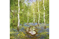 No frame image, click to enlarge