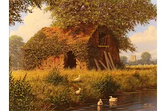 No frame image, click to enlarge