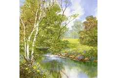 No frame image, click to enlarge