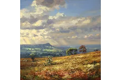 No frame image, click to enlarge