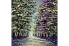 No frame image, click to enlarge
