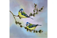 No frame image, click to enlarge