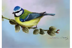 Signature image, click to enlarge