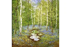 No frame image, click to enlarge