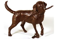 Large image, click to enlarge