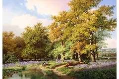 No frame image, click to enlarge