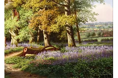 Signature image, click to enlarge