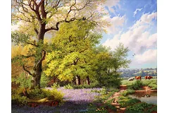 No frame image, click to enlarge