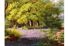 Signature image, click to enlarge