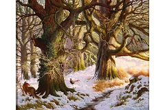 No frame image, click to enlarge