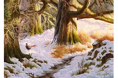 Signature image, click to enlarge