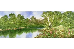 No frame image, click to enlarge