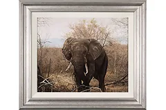 Large image, click to enlarge