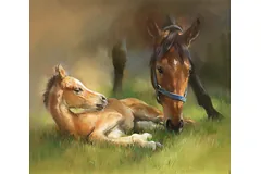 No frame image, click to enlarge