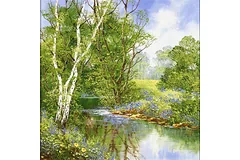 No frame image, click to enlarge