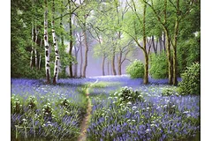 No frame image, click to enlarge