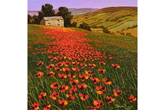 No frame image, click to enlarge