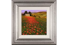 Large image, click to enlarge