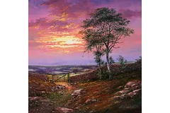 No frame image, click to enlarge