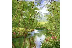 No frame image, click to enlarge