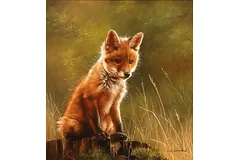 No frame image, click to enlarge