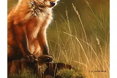 Signature image, click to enlarge