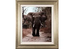 Large image, click to enlarge