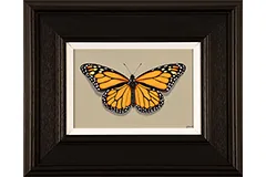 Large image, click to enlarge