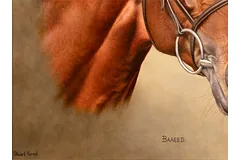 Signature image, click to enlarge